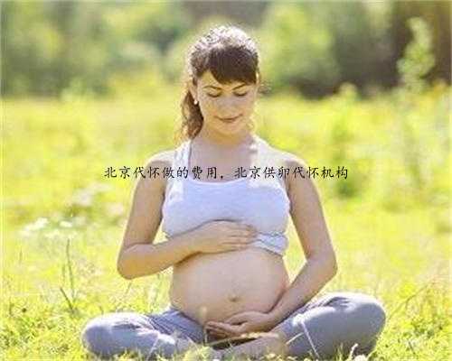 <b>北京代怀做的费用，北京供卵代怀机构</b>