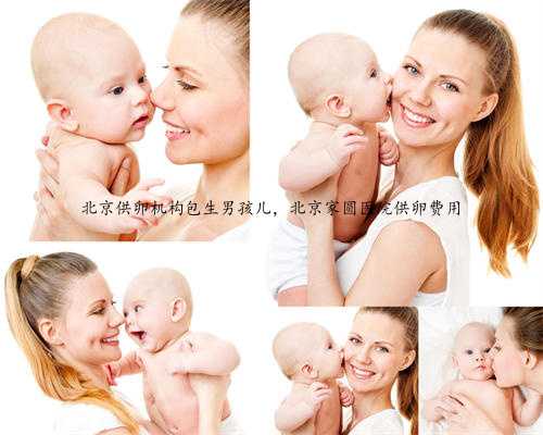 北京供卵机构包生男孩儿，北京家圆医院供卵费用