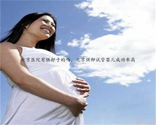 北京医院有供卵子的吗，北京供卵试管婴儿成功率高