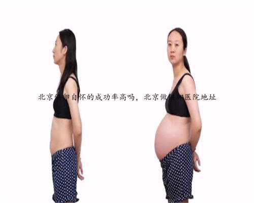 北京供卵自怀的成功率高吗，北京做供卵医院地