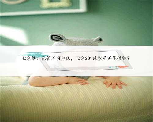 北京供卵试管不用排队，北京301医院是否能供卵？