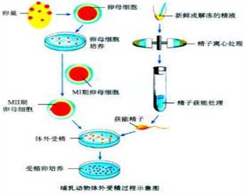中国推介网-健康中国栏目：治疗湿疹的中药有哪