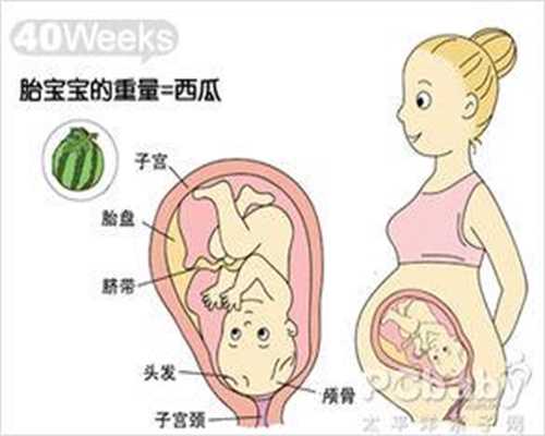 代孕三个月检查出孩子畸形 妈妈坚持生下来 结果