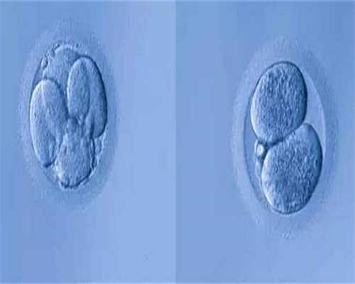 “闲置”冷冻胚胎，  是毁是留？