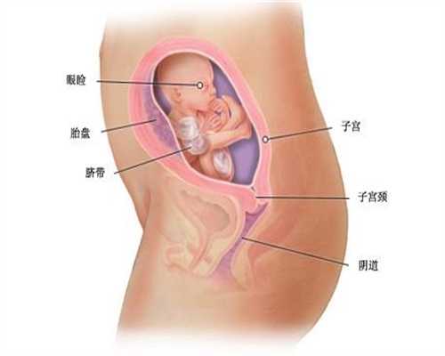 郑州做试管婴儿大概多少钱(51)