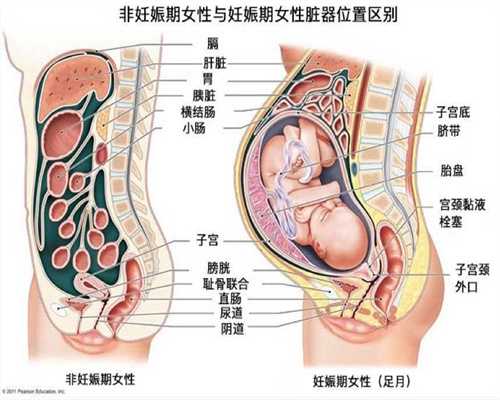 北京代孕生子多少钱-北京代孕做的费用-北京试管婴儿取卵代孕