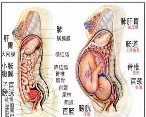 北京代生子选性别多少钱，当初世界上第一批试管婴儿现在怎么样了呢?
