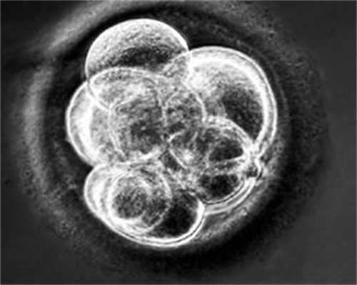 北京卵巢早衰借卵能成功吗-2021代怀价格表-北京供卵试管包性别