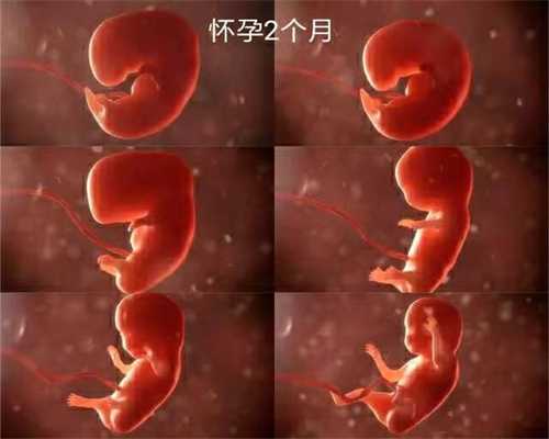 北京代怀小孩哪里有，记得1988年国内第一例试管婴儿吗？经过很多转变后，现