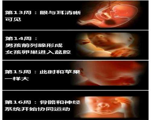 北京代生一个小孩多少钱，【北京可以做供卵的机构】8月5号喜得闺女一个，