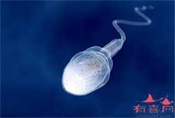 北京做供卵医院地址~北京试管代生机构~北京代生子包男孩价格，孕妇身上长疥
