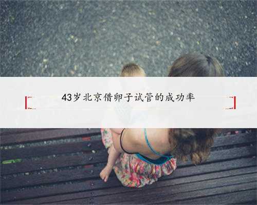 43岁北京借卵子试管的成功率