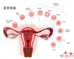 北京专门代孕家庭，北京治疗卵巢早衰医院有哪些