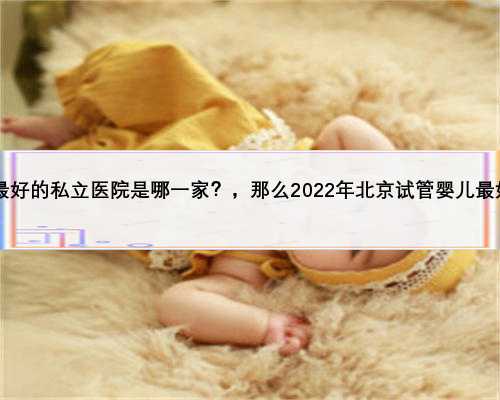 2022年北京试管婴儿最好的私立医院是哪一家？，那么2022年北京试管婴儿最好的