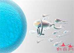 北京代孕需做多久,北京的代孕机构排名怎么样？附试管代孕？