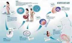 北京代孕费用主页,北京的代孕机构排名怎么样？附试管代孕？