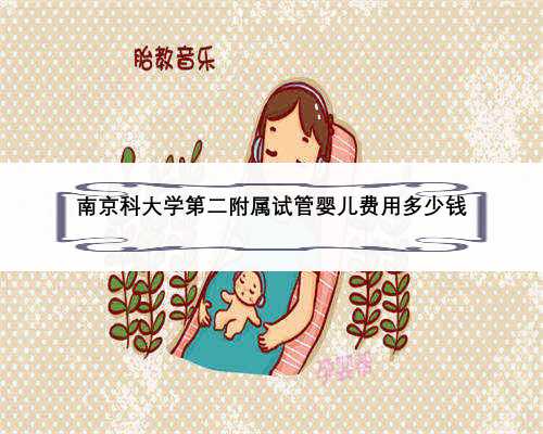 南京科大学第二附属试管婴儿费用多少钱