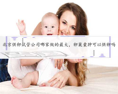 北京供卵试管公司哪家做的最大，卵巢囊肿可以供卵吗