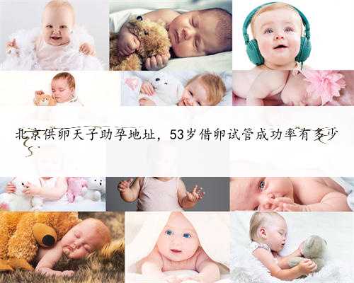 北京供卵天子助孕地址，53岁借卵试管成功率有多少